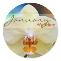 Orchid • January Wedding Sticker by SabineStGreetings Orchid • January Wedding Sticker