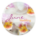 Orchid • June Wedding Sticker sticker