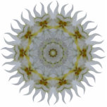 Orchid Kaleidoscope Acrylic Ornament Photo Sculptures