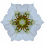 Orchid Kaleidoscope Acrylic Ornament Photo Cutout