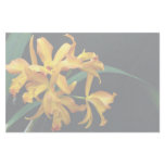 Orchid Laela, cattleya, trick or treat Stationery Design