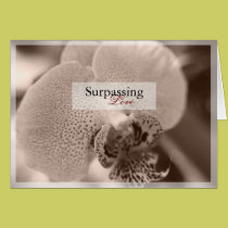 Orchid Love Greeting Card cards