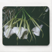 Orchid Lovers's Choice Mouse Mats