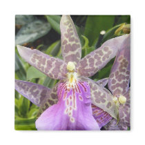 Orchid Magnet by SweetRascal Orchid Magnet