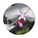Orchid Magnet magnet