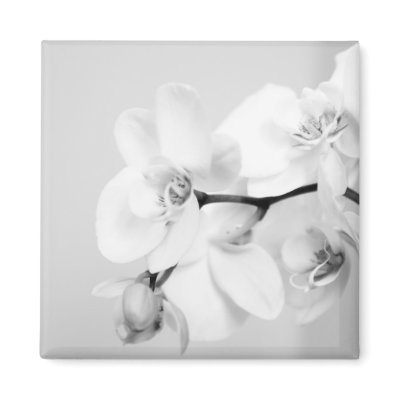 orchid fridge magnet