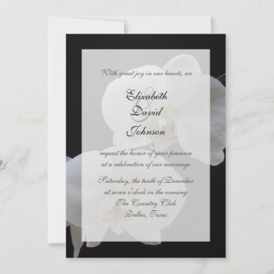 Sample wedding invitation wording reception only