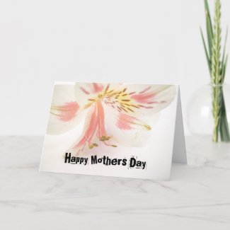 Orchid Mothers Day Card card