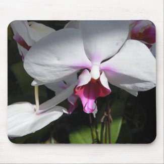 Orchid mousepad