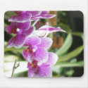 orchid mousepad by dereklovessheila orchid mousepad