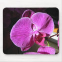 Orchid Mousepad mousepad
