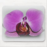 Orchid Mousepad