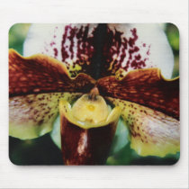 Orchid mousepads by Jack_of_Arts Orchid mousepads