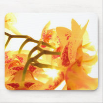 Orchid mousepads by iiiyaaa Orchid mousepads