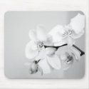 orchid mousepads by iiiyaaa orchid mousepads