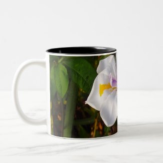 Orchid mug