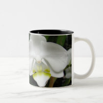 Orchid Mug 2 mugs