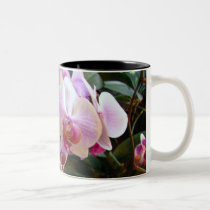 Orchid Mug 6 mugs