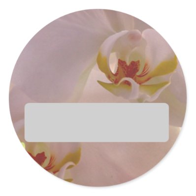 Orchid Name Sticker
