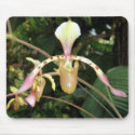 Orchid Nine Mousepad by GrumpyKittenGraphics Orchid Nine Mousepad