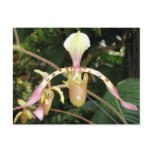 Orchid Nine Postcard