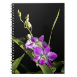 Orchid Notebook.