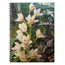Orchid Notebook