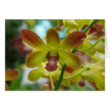 Orchid Notecard