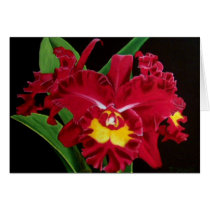 Orchid Oil on Canvas Card by MoonArtandDesigns Orchid Oil on Canvas Card