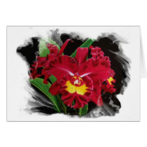 Orchid Oil on Canvas Cards  2