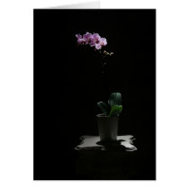 Orchid on Black card cards