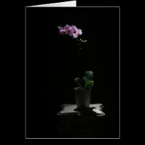 Orchid on Black card cards