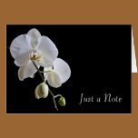 Orchid on Black Just a Note Card cards