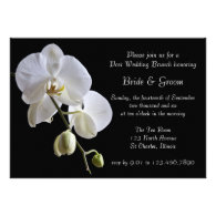 Orchid on Black Post Wedding Brunch Invitation