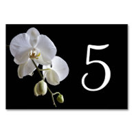 Orchid on Black Table Numbers Table Cards