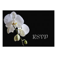 Orchid on Black Wedding RSVP Response Card Invitation