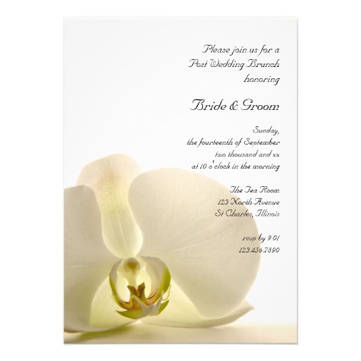 Orchid on White Post Wedding Brunch Invitation