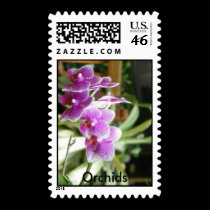 orchid Orchids flower postage stamps