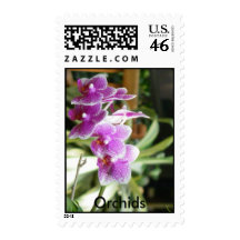 orchid Orchids flower postage stamps