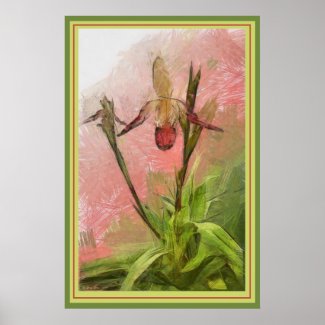 Orchid original botanical art print