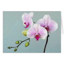 Orchid Orji Card cards