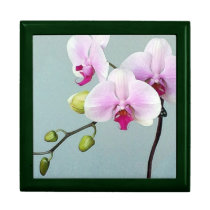 Orchid Orji Gift Box gift boxes