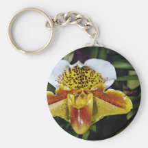 Orchid, paphiopedilum-hybrid (quiberon bay) keychain