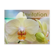 Orchid • Party Invitation Postcard