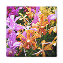 Orchid Party magnets