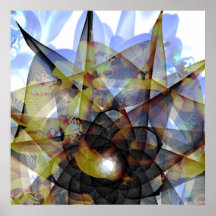 Orchid Petals April 2013 Posters