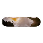 Orchid Petals Flower Skate Decks