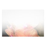 Orchid - Phalaenopsis - A set of beauties, Fade... Custom Stationery