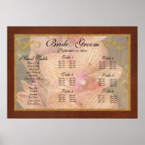 Orchid - Phalaenopsis - A set of beauties Print