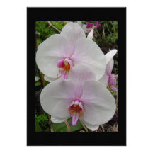 Orchid - Pink Blossom (Colossians 2:3) Custom Invites